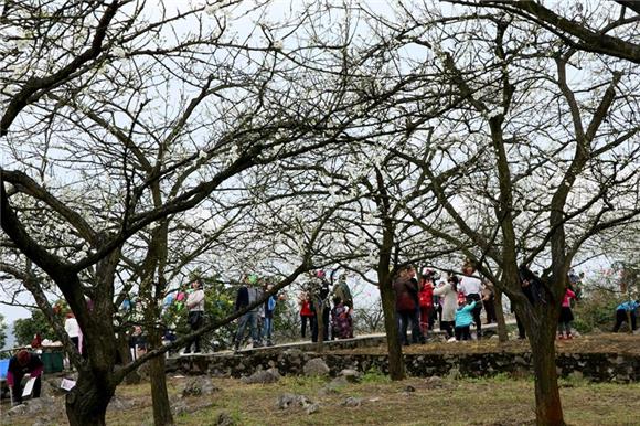 合川:文旅融合 生态旅游呈现新气象