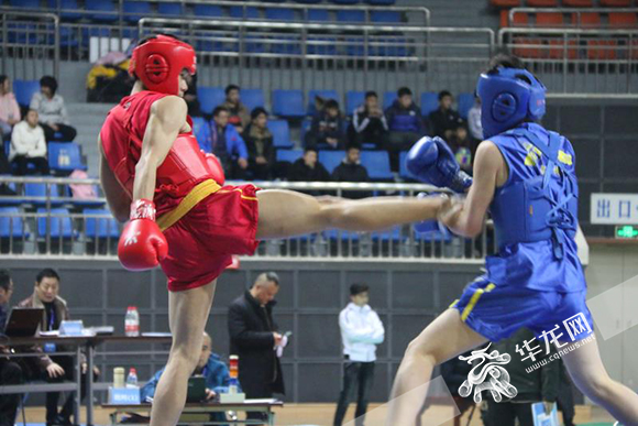 重庆市青少年武术散打锦标赛落幕 400余位功夫