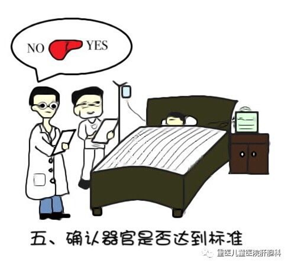 重庆平均人口寿命_人口平均寿命图(3)