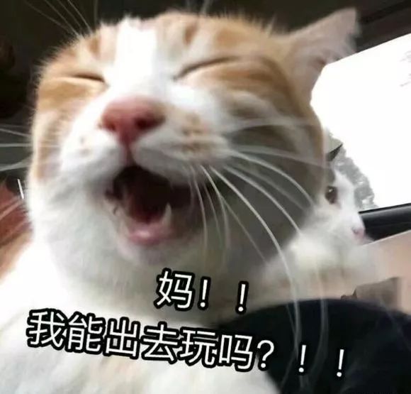 视界 | 蜀道不再难!中国开山修建的这条高速铁