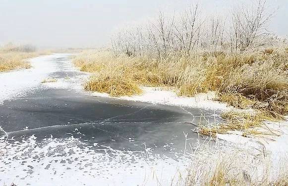 东方早安丨草木岁月晚,关河霜雪清|杜甫|关河|霜