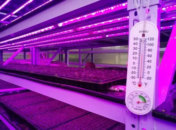 养鱼不换水、种菜不施肥，西安探索精准扶贫新模式