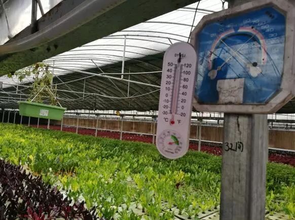 养鱼不换水、种菜不施肥，西安探索精准扶贫新模式
