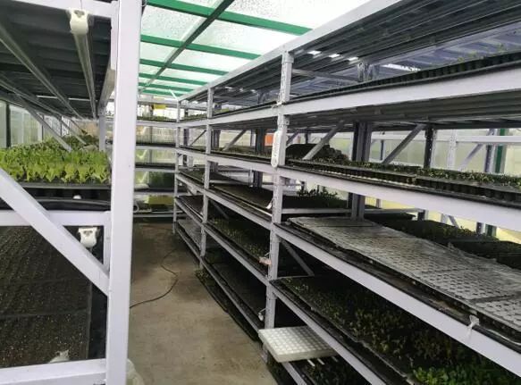 养鱼不换水、种菜不施肥，西安探索精准扶贫新模式