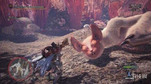 浮空龙真棒!精选《怪物猎人世界》中十只怪物的睡相