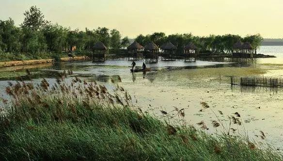 一个湿地公园的前世今生…