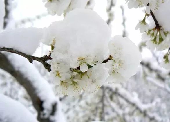 济南2018第一场雪,正在赶来的路上…|第一场雪