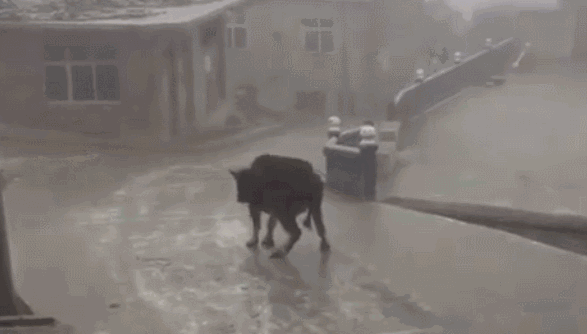 挺住宁波雪止却掉入冰窑今起市区这些出行都受影响了