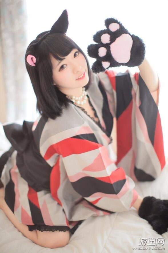 11区猫之日大波萌妹送福利 这样的“猫咪”好想养