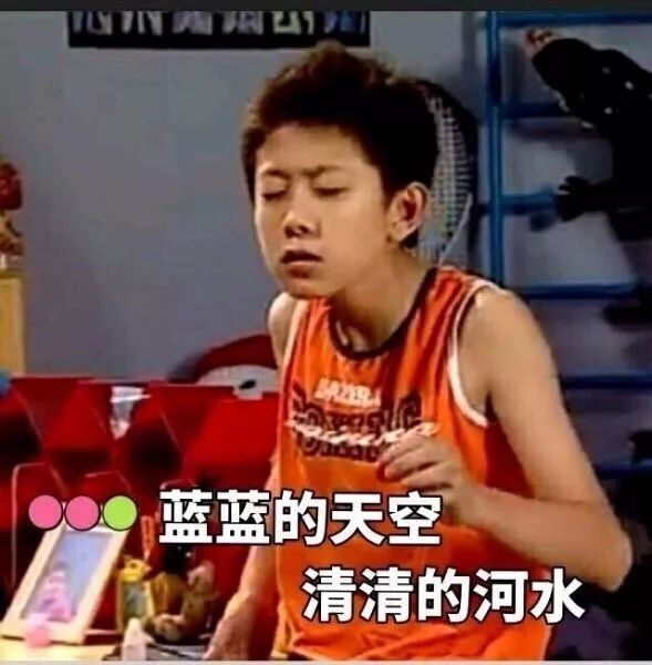 家有儿女刘星表情