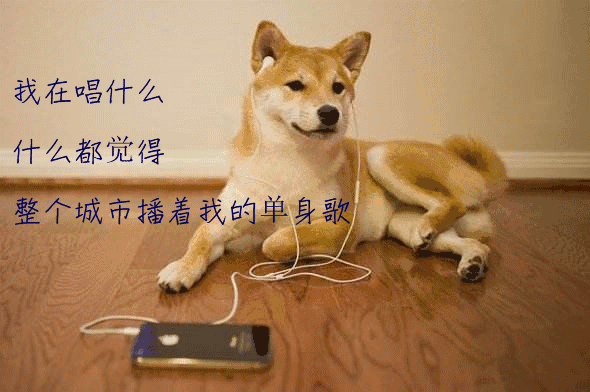 据说,这是千万单身狗的日常 | 旺旺旺旺③