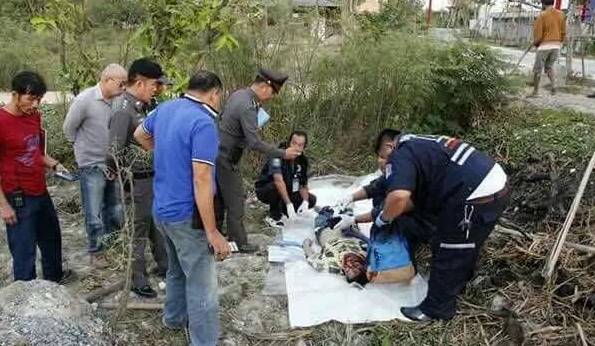 不幸!导游为救游客被大象踩死!当时游客非要这