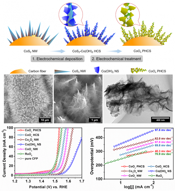 中-澳光电功能分子材料研究团队在非贵金属催
