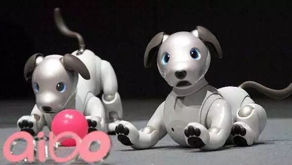 机器狗智能ai机器人 MKh5-fyqnick7804028.jpg