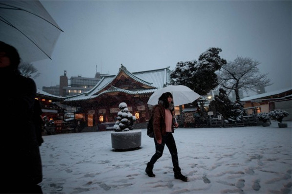 22日,日本东京23区出现大规模降雪。(图片来源:台媒)