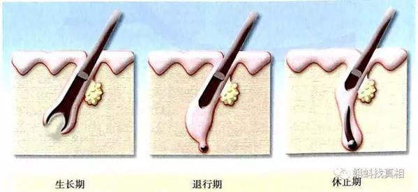正月里剪头发死舅舅