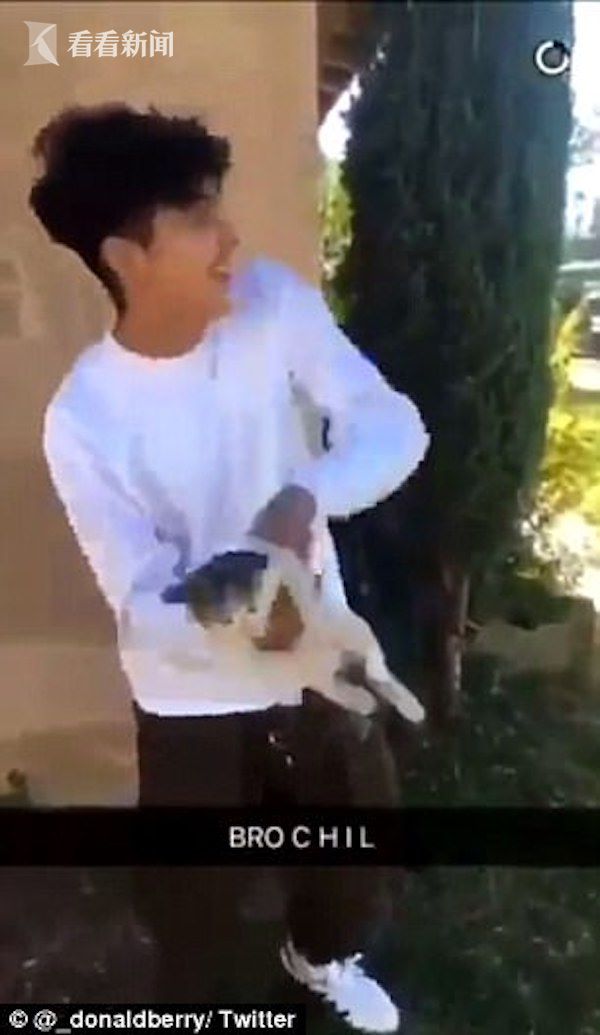 视频|16岁少年发虐猫视频博关注 用力掷向高空
