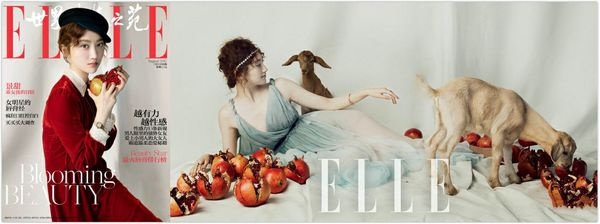 刘亦菲章子怡徐冬冬景甜 那些极具创意的杂志