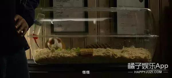 《黑鏡4》創(chuàng)下系列最低分，這部神劇這一次真的跌下神壇了