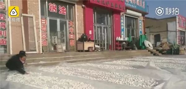 南方人再次被震惊!东北人居然在地上晒饺子…
