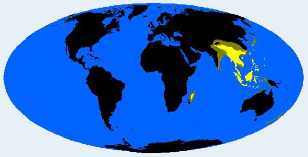 都是中国人,北方人跟南方人长相差别咋就那么