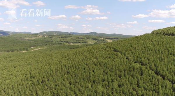 视频|塞罕坝林场:55年造就绿色奇迹 获地球卫