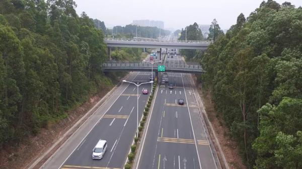深圳第二条HOV车道设在梅观高速，行驶汽车内须