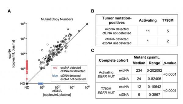 联合外泌体RNA和ctDNA的液体活检，对EGFR突变的检测最为有效