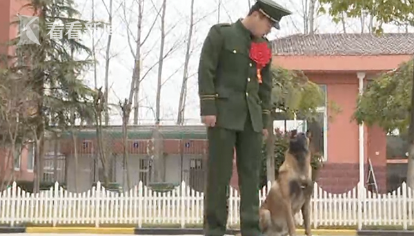视频 | 巡逻时遇老兵退伍 军犬竖前腿敬礼久久