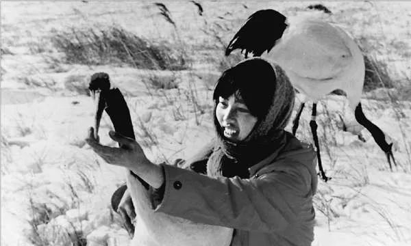 还记得丹顶鹤女孩吗?她牺牲27年后,弟弟又因公殉职……是悲歌更是壮歌!|娟子|扎龙自然保护区|视觉中国_新浪新闻