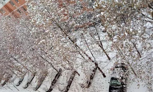 河北多地迎2018第一场雪|限行有大变化!3市取