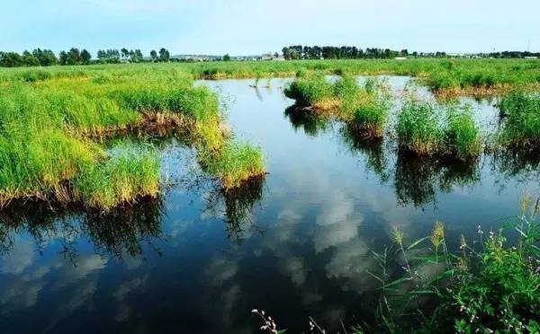 害了我的哈尔滨!这项排名全国第二,东北三省唯