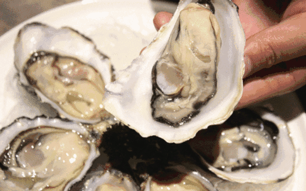 在生蚝最肥美的季节，就要最“鲜溜”地吃，快