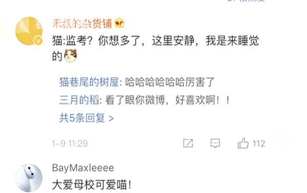 视频|橘猫进入考场化身监考官 模样认真惹人