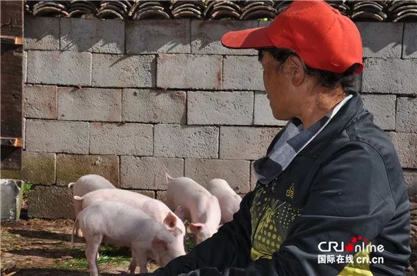 【新时代新气象新作为】拥抱微金融贷款--彝族