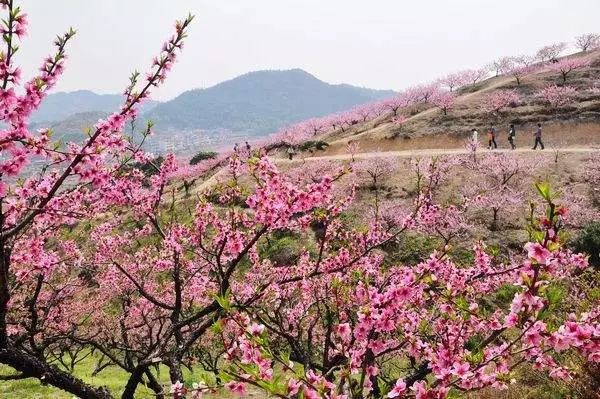 桃花坞、黄山八面厅、岩口水库义乌上溪除了这些，又有一地标即将问世，它是…