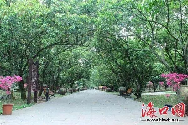 元旦小长假快结束了 海口这些人气爆棚的景点