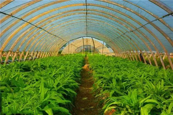 重磅!江西村干部可转编公务员!2018年将发展9