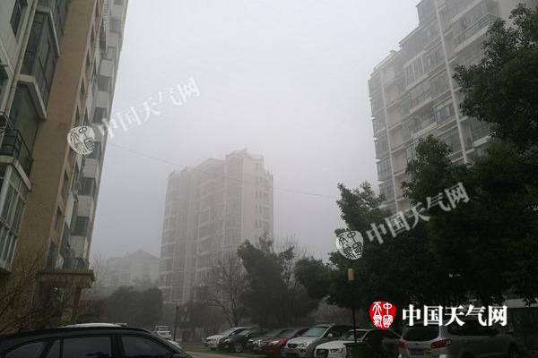 昨晨,合肥能见度低.(图/戚珍珠)