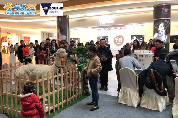 北京信捷国旅携手维旅局发布2018新线路产品