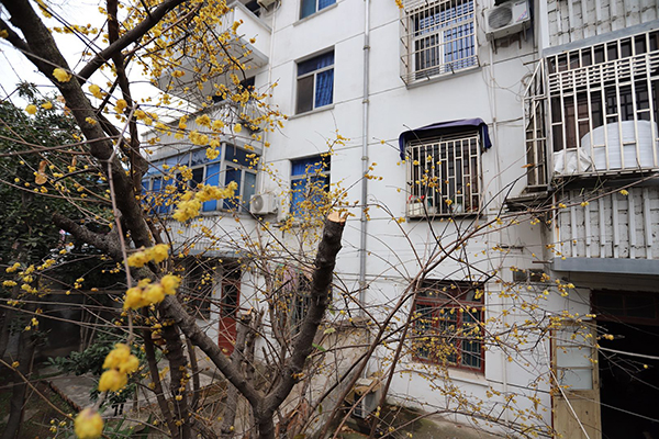 澎湃新闻:江苏太仓退休官员被举报闯入民宅砍伐邻居名贵树，警方已立案