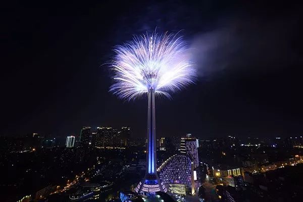 昨晚,天府熊猫塔的烟花美爆成都夜空! 太震撼了