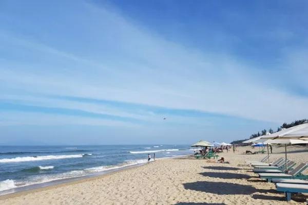 澳洲女子海滩光脚行走,一周后感觉有虫子在身