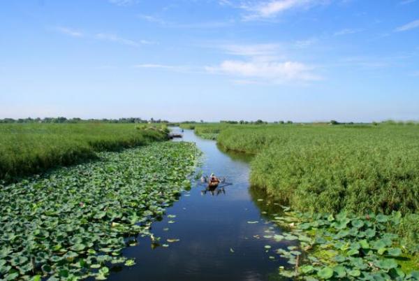 河北湿地将实施保护修复,建立奖励机制和终身
