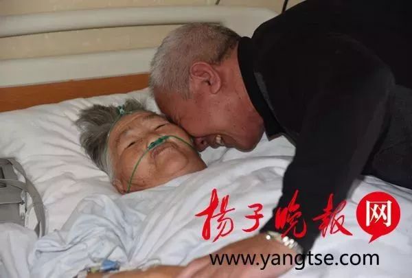 2017年这些照片没有一张获奖，却温暖了整个朋友圈