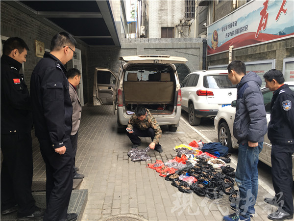 鸡嗉子充当猫胎盘 三 戏精 连演一星期骗了两万