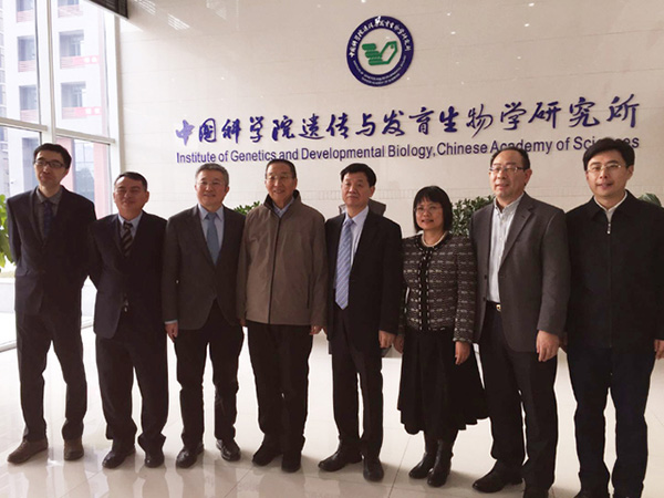 破解水稻高产优质密码:用品种设计搭积木搭出