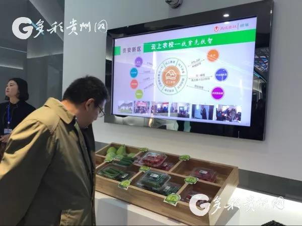 贵州白酒占gdp_茅台市值再破万亿,占贵州省七成以上GDP!