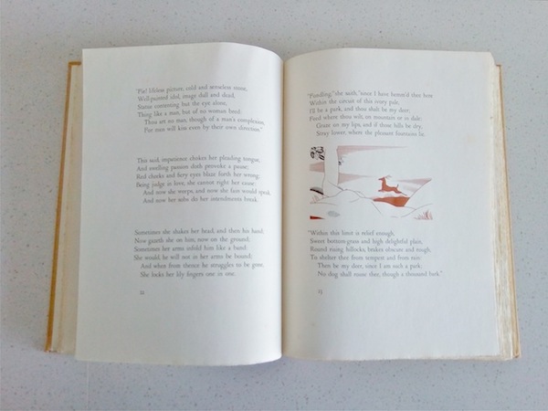 柯卫东︱肯特插图的《维纳斯与阿多尼斯》