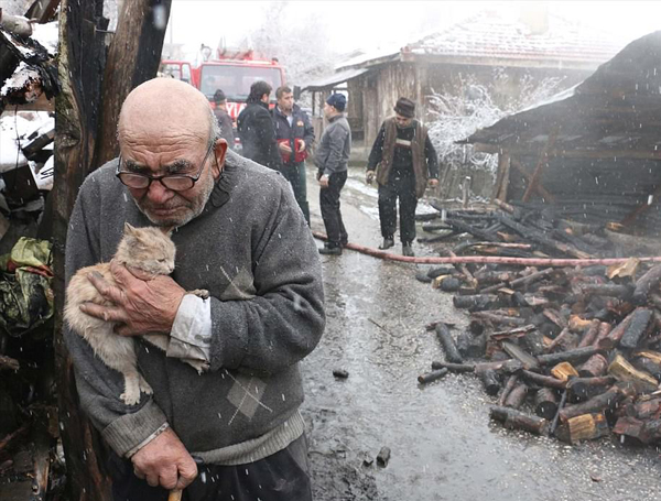 八旬老人火灾后怀抱幸存小猫感动社会获救济|火灾|土耳其|阿里_新浪新闻